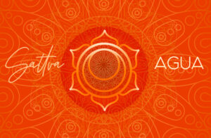 SATTVA AGUA