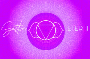 SATTVA Conexión Crística